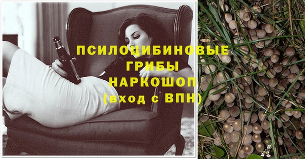 бошки Бронницы