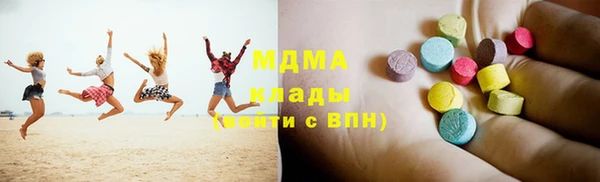 индика Туринск