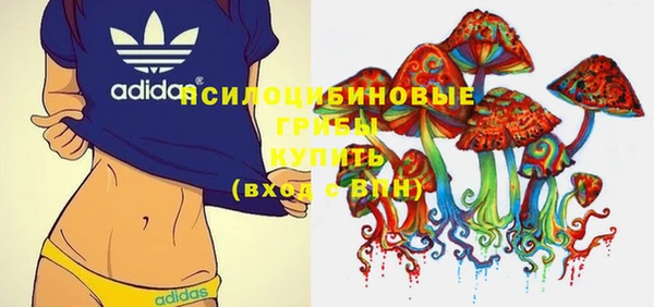 бошки Бронницы