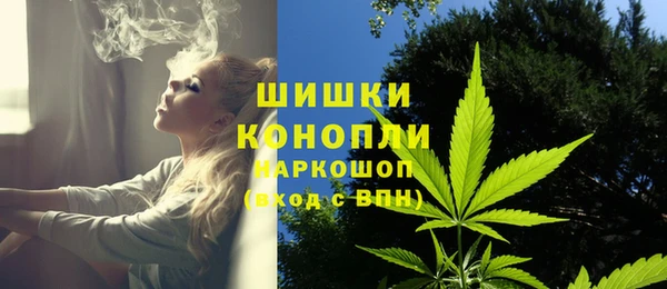 кокс Бородино