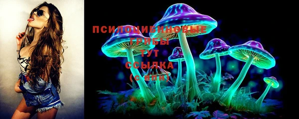 бошки Бронницы