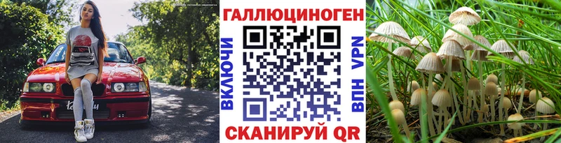 Псилоцибиновые грибы GOLDEN TEACHER  купить наркоту  Оса 